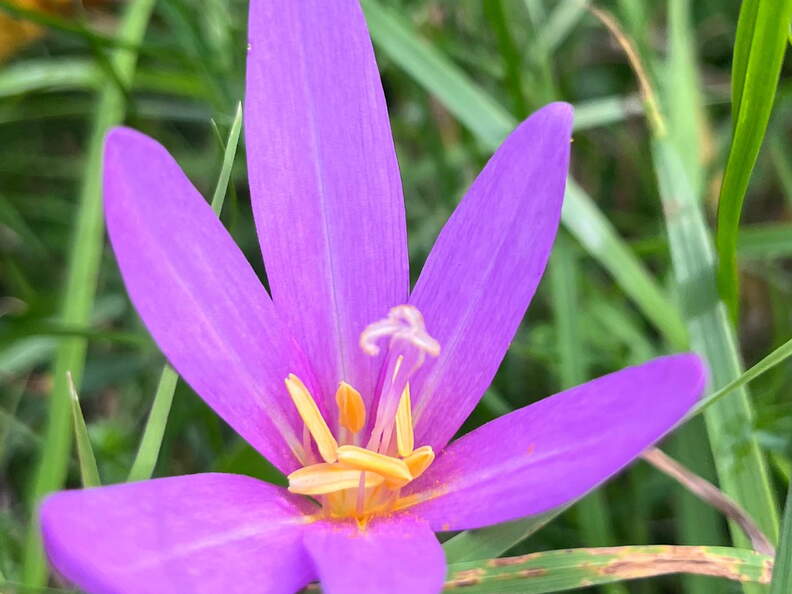 22-10-08 12-10-34 2516